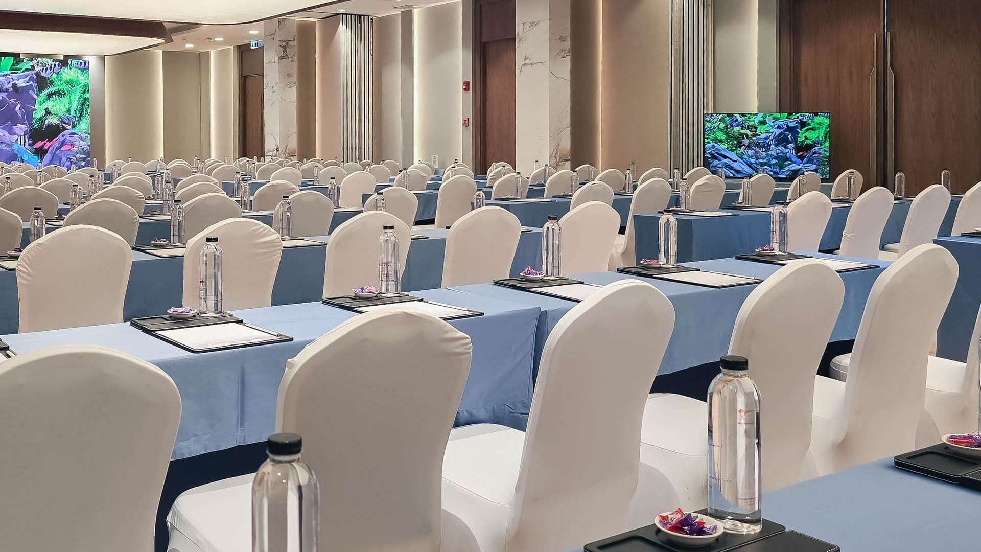 Meeting & Conference